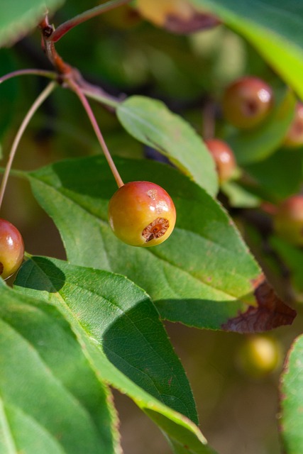构建长期发 构建长期发