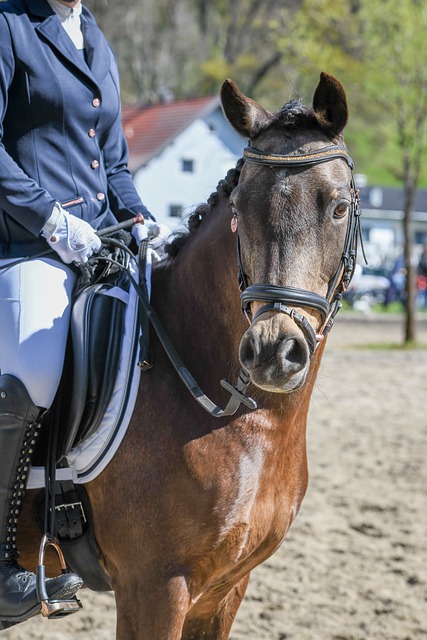 技巧和敏锐 技巧和敏锐