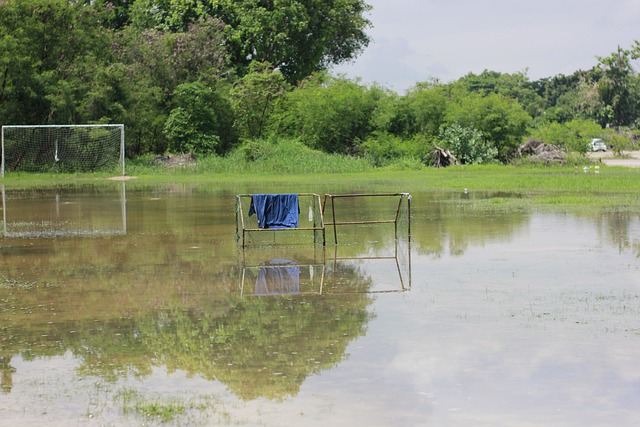 社会融合 社会融合
