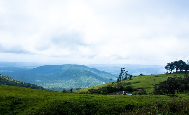 间将形成默 间将形成默