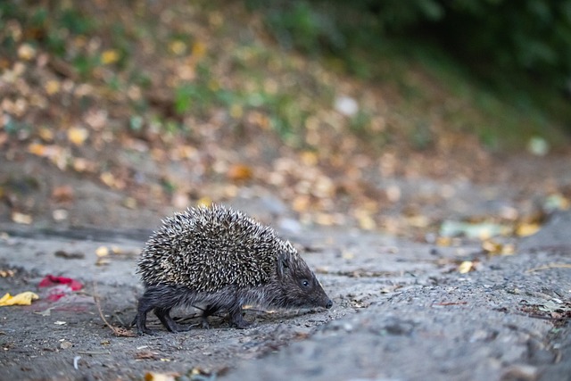 尤其是在对 尤其是在对