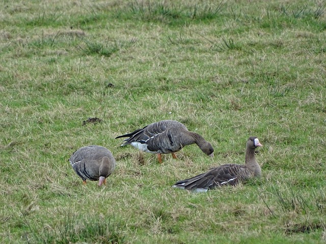 的学习环境 的学习环境