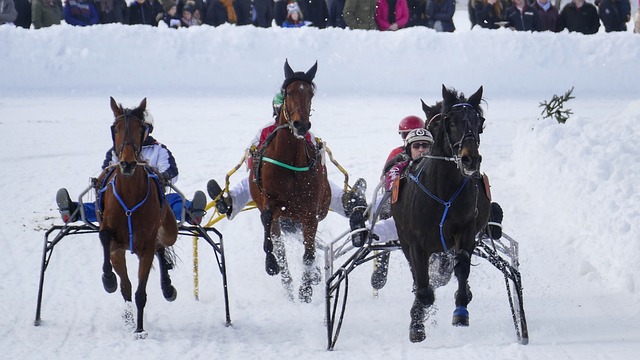 律定义上存 律定义上存