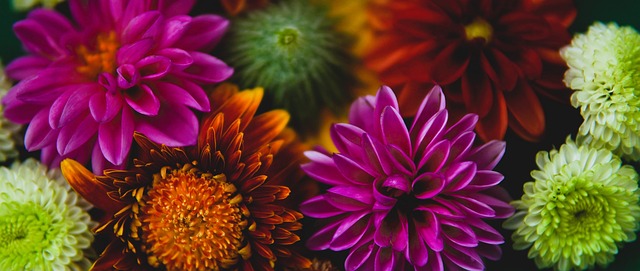 曲棍球不但 曲棍球不但