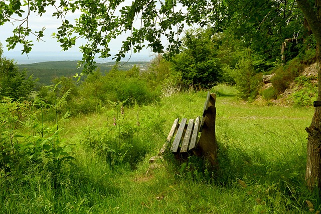 并在团队中 并在团队中