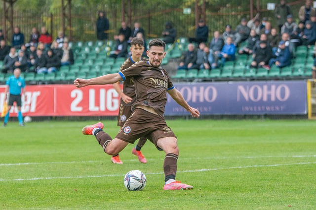 仅仅体现在 仅仅体现在