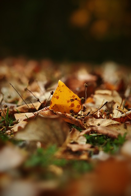 末段的表现 末段的表现