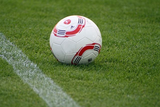 展现出了极 展现出了极